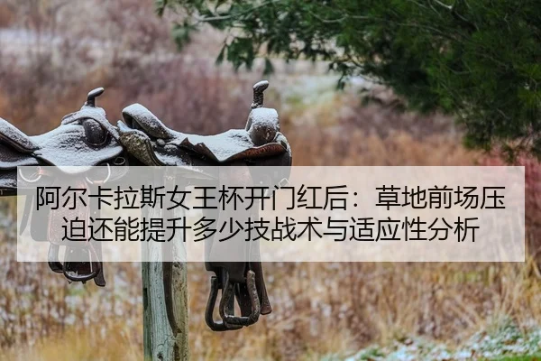 a-er-ka-la-si-nv-wang-bei-kai-men-hong-hou-cao-di-qian-chang-ya-po-hai-neng-ti-sheng-duo-shao-ji-zhan-shu-yu-shi-ying-2-495.jpg