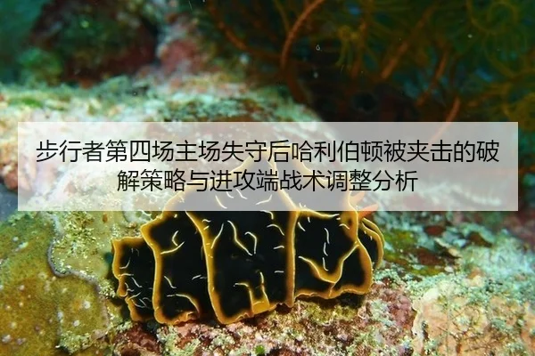 bu-xing-zhe-di-si-chang-zhu-chang-shi-shou-hou-ha-li-bo-dun-bei-jia-ji-de-po-jie-ce-lve-yu-jin-gong-duan-zhan-shu-tiao-2-495.jpg