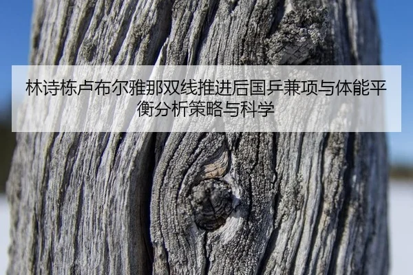 lin-shi-dong-lu-bu-er-ya-na-shuang-xian-tui-jin-hou-guo-ping-jian-xiang-yu-ti-neng-ping-heng-fen-xi-ce-lve-yu-ke-xue-2-648.jpg
