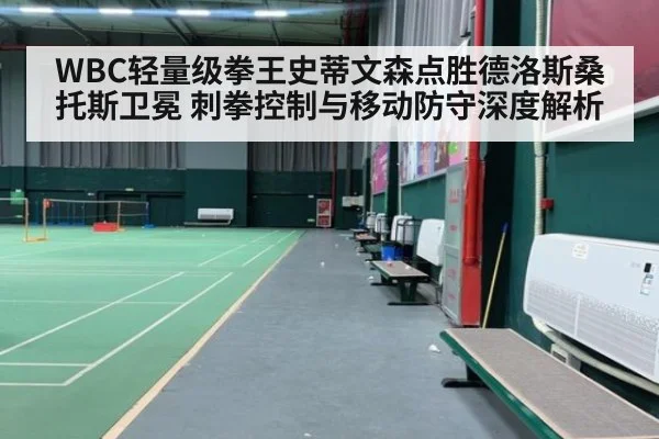 WBC轻量级拳王史蒂文森点胜德洛斯桑托斯卫冕 刺拳控制与移动防守深度解析