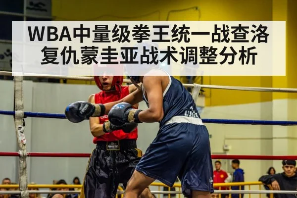 WBA中量级拳王统一战查洛复仇蒙圭亚战术调整分析